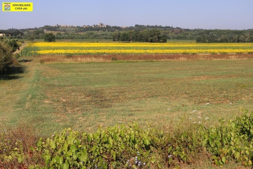 immagine annuncio 9 di 14
