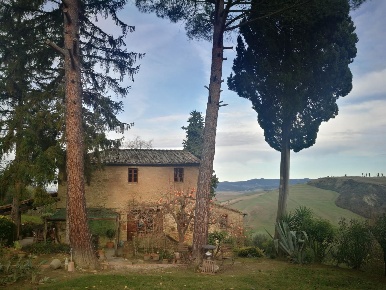 Foto Casale a Volterra Centro di 650 m² con 15 locali in vendita
