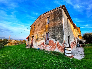 Foto Casale a Cerreto Guidi di 310 m² con 11 locali in vendita