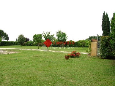 Foto Casale a Vicopisano Centro di 490 m² con 17 locali in vendita