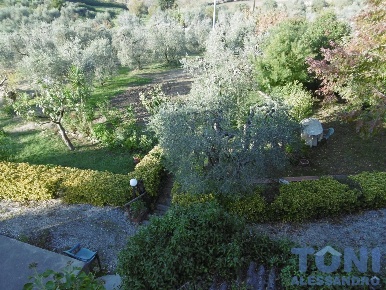 Foto Casale a Cerreto Guidi Centro di 400 m² con 10 locali in vendita