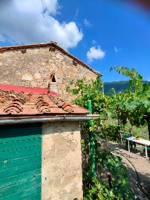 Foto Casale a Calci di 160 m² con 6 locali in vendita