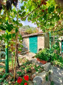 Foto Casale a Calci di 160 m² con 6 locali in vendita