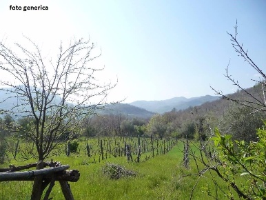 Foto Casale a Casciana Terme Lari Collemontanino di 700 m² con 14 locali