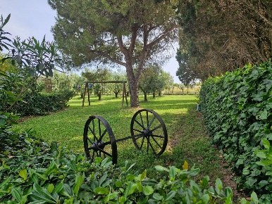 Foto Casale a Piombino di 300 m² con 12 locali in vendita