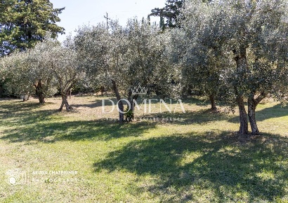 Foto Casale a San Gimignano Centro di 400 m² con 14 locali in vendita