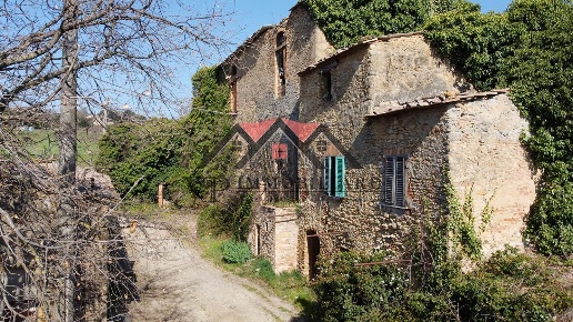 immagine annuncio 10 di 11