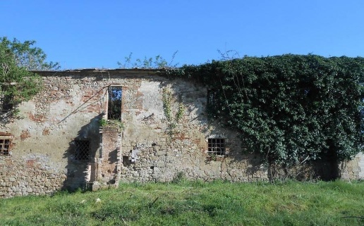 immagine annuncio 5 di 11