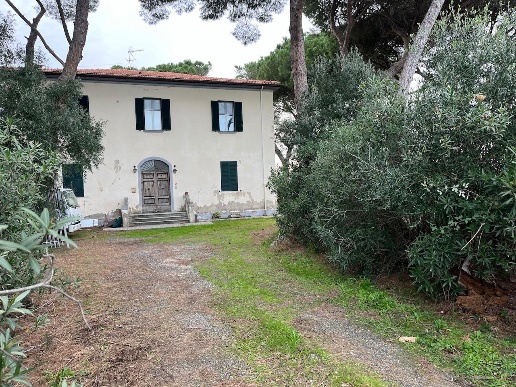 immagine annuncio 3 di 6