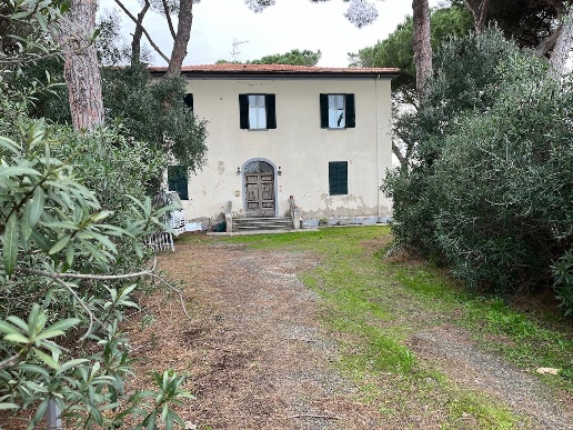 immagine annuncio 4 di 6