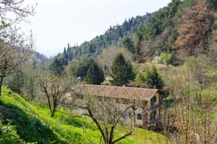 Foto Casale a San Giuliano Terme Rigoli, Molina di Quosa di 800 m²