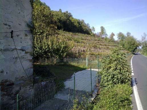 immagine annuncio 8 di 9