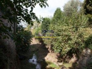 Foto Casale a Calci Centro di 420 m² con 11 locali in vendita