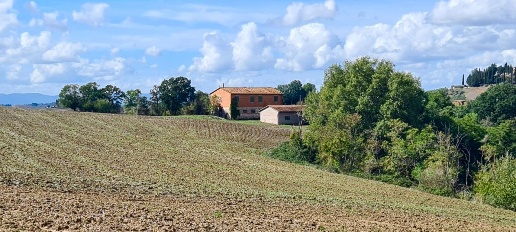 Foto Casale a Asciano Centro di 1000 m² con 20 locali in vendita