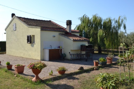 Foto Loft a Campiglia Marittima di 35 m² con 2 locali in vendita