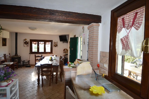 immagine annuncio 6 di 14