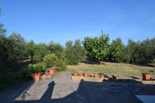immagine annuncio 8 di 14