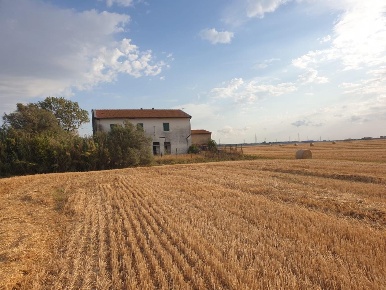 Foto Casale a Cascina Arnaccio - Chiesanuova di 400 m² con 8 locali