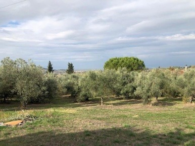 Foto Casale a Empoli Carraia - Torricelli di 180 m² con 6 locali in vendita