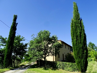 Foto Casale a Palaia di 400 m² con 13 locali in vendita