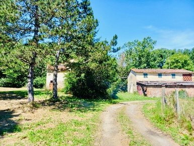 Foto Casale a Castelfiorentino di 1350 m² con 30 locali in vendita