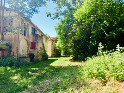 immagine annuncio 5 di 12