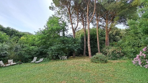 Foto Casale a Calci Centro di 420 m² con 11 locali in vendita