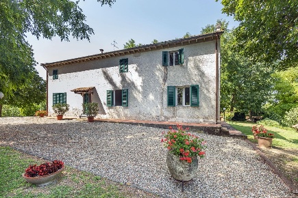 Foto Casale a Fauglia di 325 m² con 14 locali in vendita