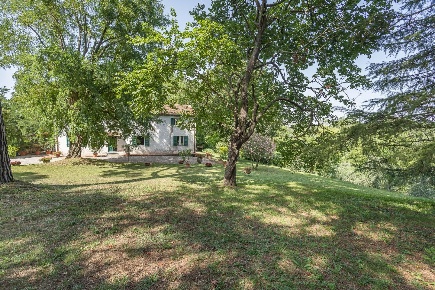 Foto Casale a Fauglia di 325 m² con 14 locali in vendita