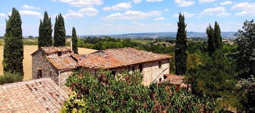 immagine annuncio 2 di 6