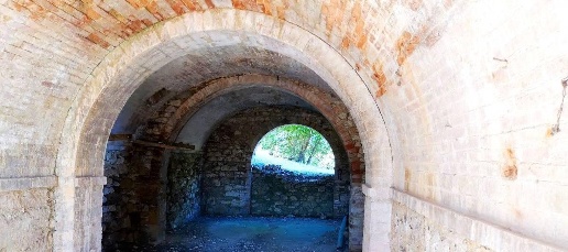 immagine annuncio 5 di 6