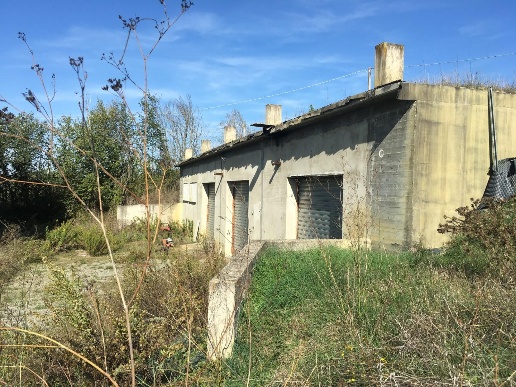 immagine annuncio 6 di 7