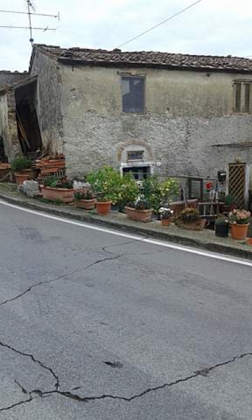 immagine annuncio 1 di 2