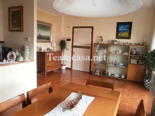 immagine annuncio 4 di 8