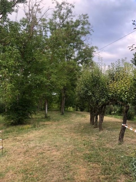 immagine annuncio 8 di 11
