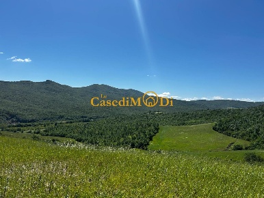 Foto Casale a Chianni di 1000 m² con 10 locali in vendita