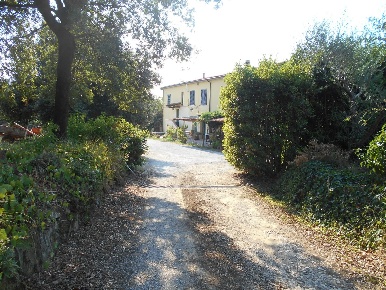 Foto Casale a Collesalvetti Centro di 500 m² con 12 locali in vendita