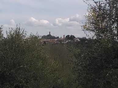 Foto Casale a San Miniato Centro Storico di 420 m² con 14 locali in vendita