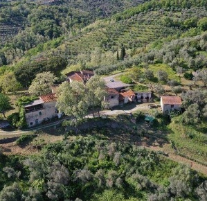 Foto Casale a Lamporecchio San Baronto di 1200 m² con 20 locali in vendita