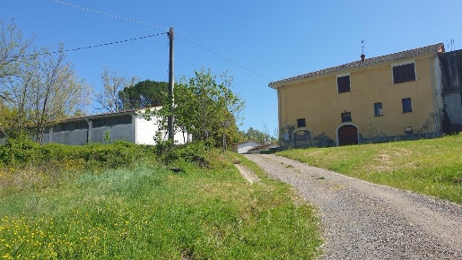 Foto Casale a Peccioli di 700 m² con 20 locali in vendita