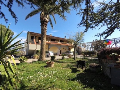 Foto Casale a Gavorrano di 800 m² con 15 locali in vendita