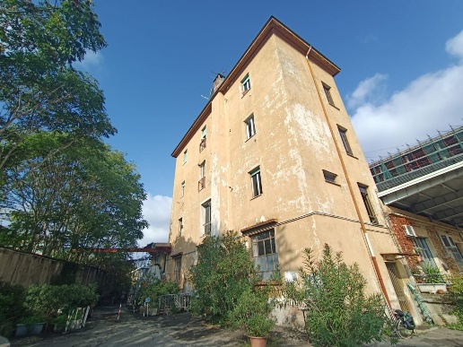 immagine annuncio 4 di 14