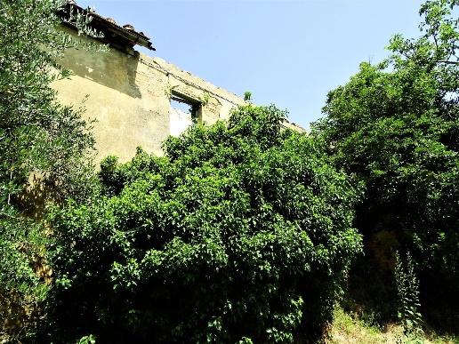 immagine annuncio 1 di 7