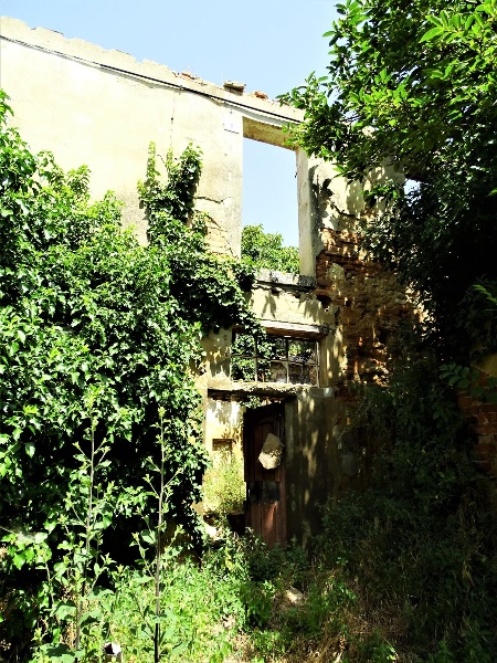 immagine annuncio 4 di 7