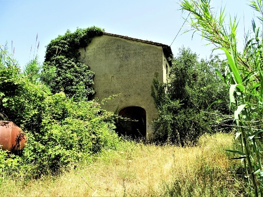 immagine annuncio 5 di 7