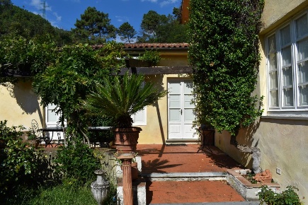 Foto Casale a Camaiore Camaiore Paese di 450 m² con 16 locali in vendita