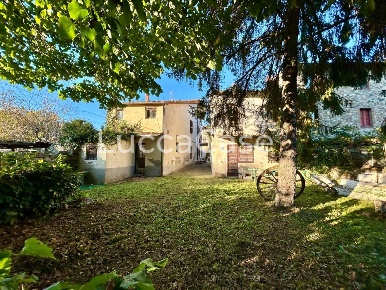 Foto Casale a Capannori Pieve di Compito - Sant'Andrea di Compito di 245 m²