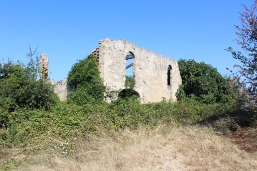 immagine annuncio 2 di 6