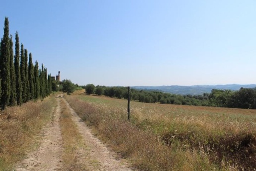 immagine annuncio 4 di 6