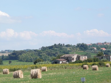 Foto Casale a Peccioli Centro di 1000 m² con 15 locali in vendita